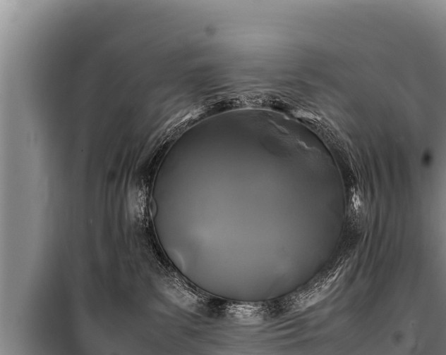 X0000100850139200806271145