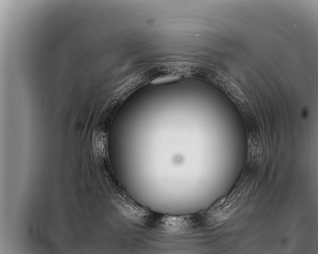 X0000100850141200806271144