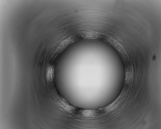 X0000100850142200806271144