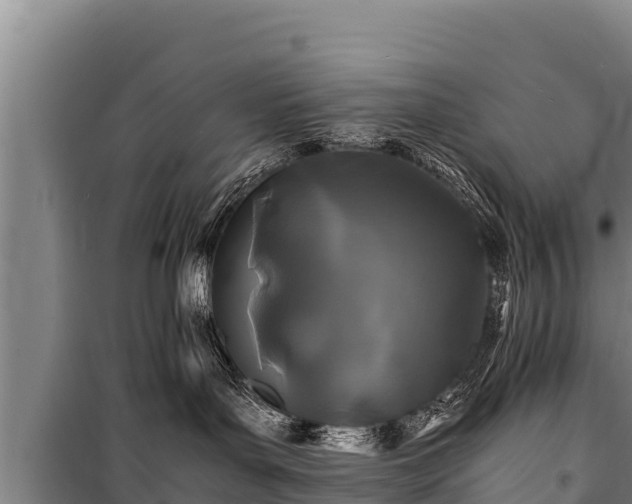 X0000100850143200806271144