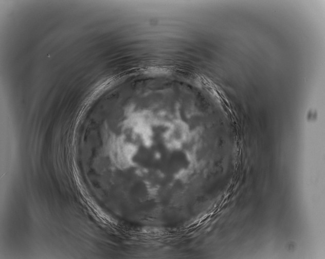 X0000100850145200806271144