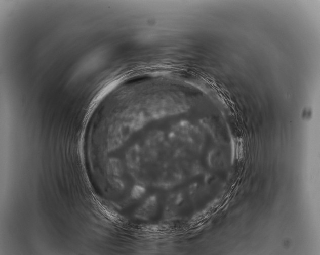 X0000100850147200806271144