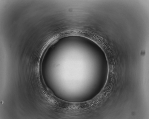 X0000100850148200806271144