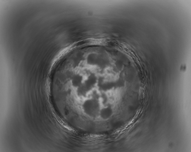 X0000100850149200806271144