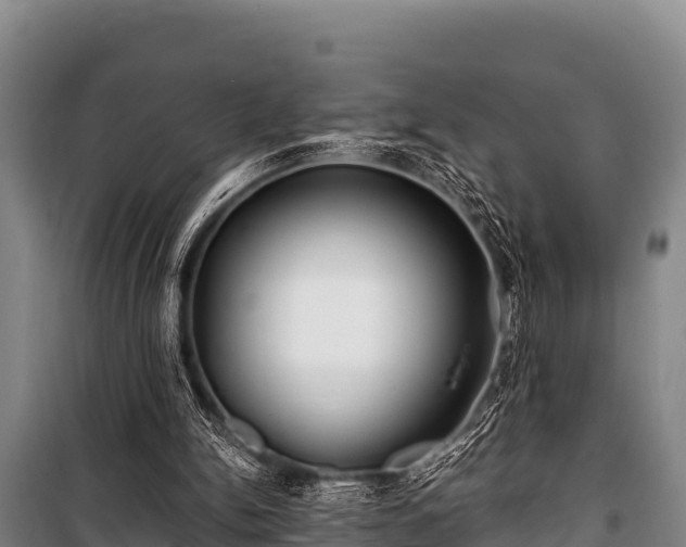 X0000100850150200806271144