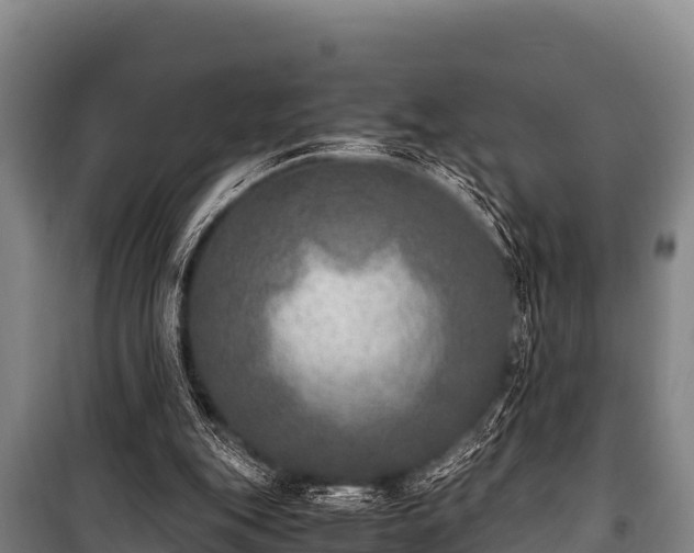 X0000100850151200806271144