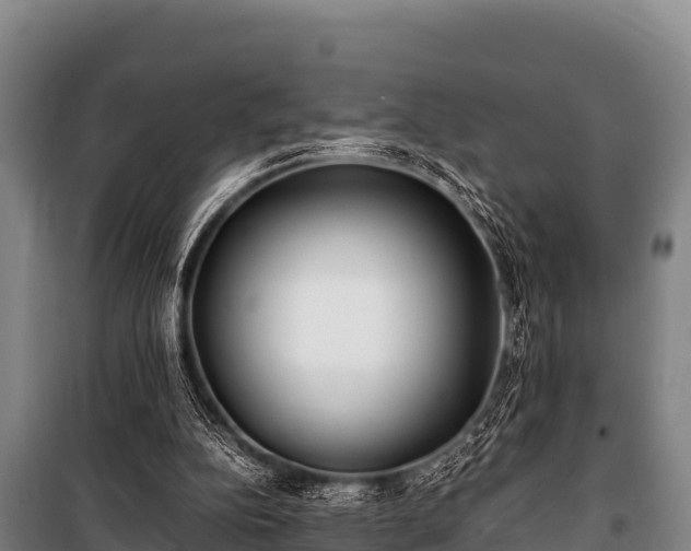 X0000100850152200806271144