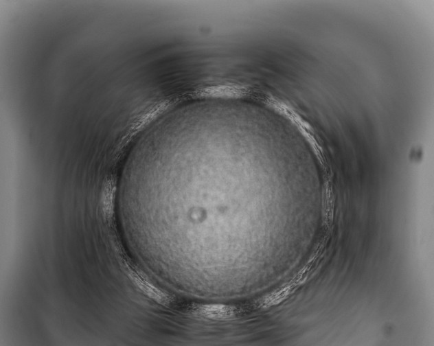 X0000100850153200806271144