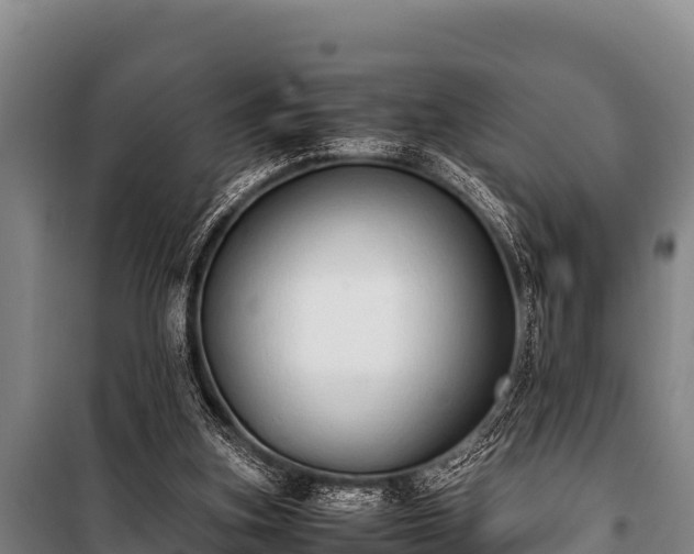 X0000100850155200806271144