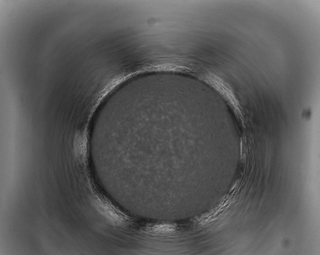 X0000100850156200806271144