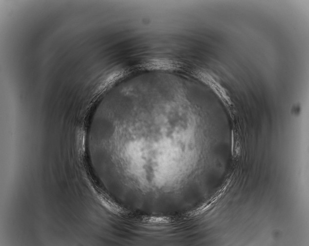 X0000100850157200806271144