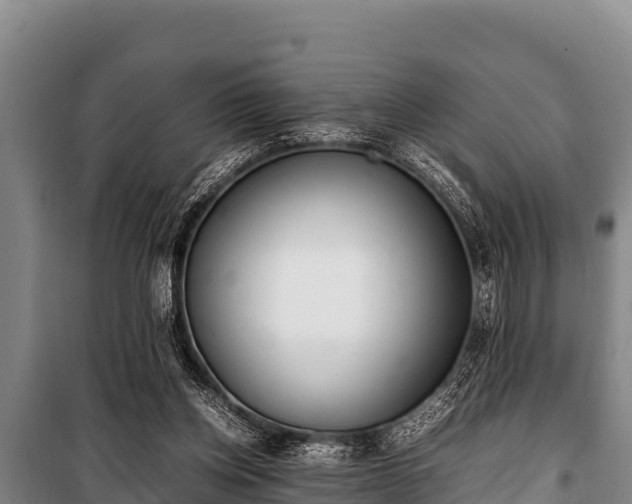 X0000100850158200806271144