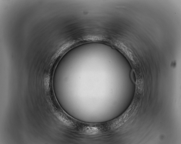 X0000100850159200806271144