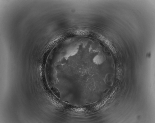 X0000100850161200806271144