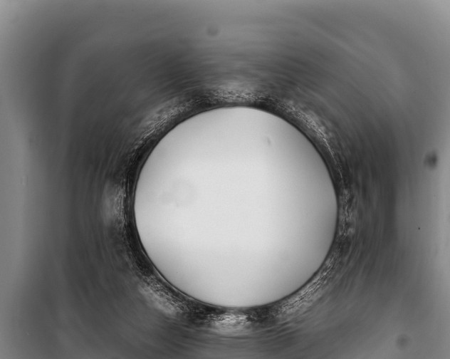 X0000100850162200806271144