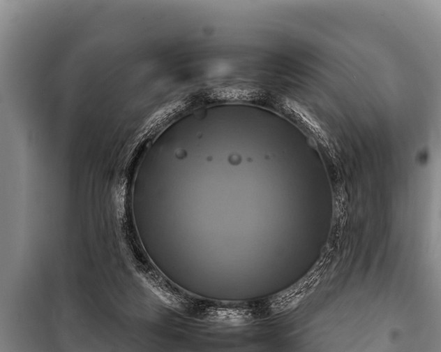 X0000100850163200806271144