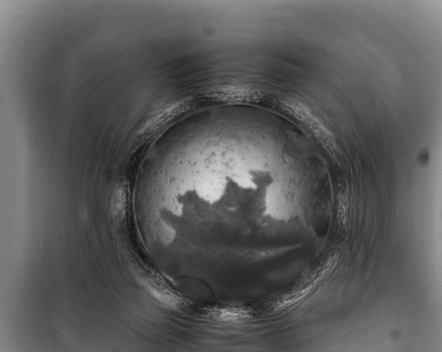 X0000100850165200806271144