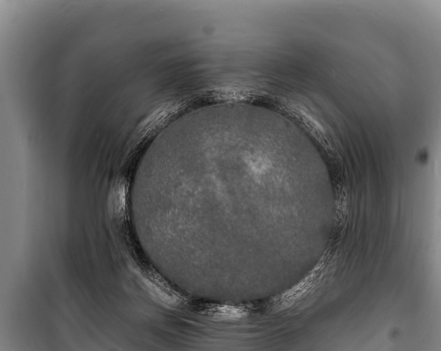 X0000100850166200806271144