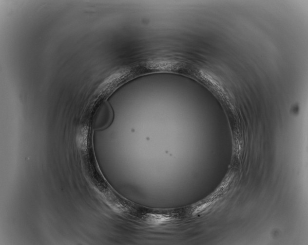 X0000100850167200806271144