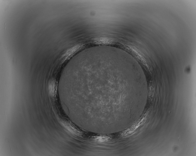 X0000100850168200806271144