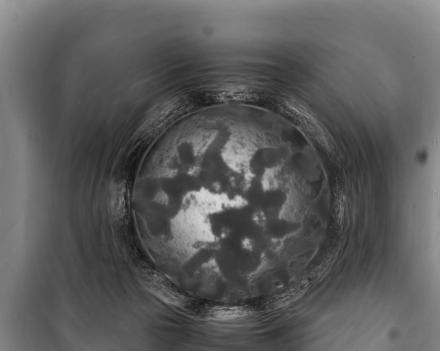 X0000100850169200806271144