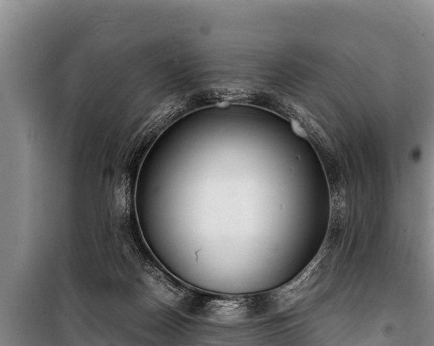 X0000100850170200806271144