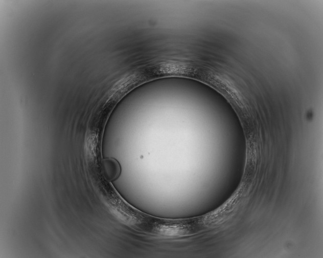 X0000100850171200806271144