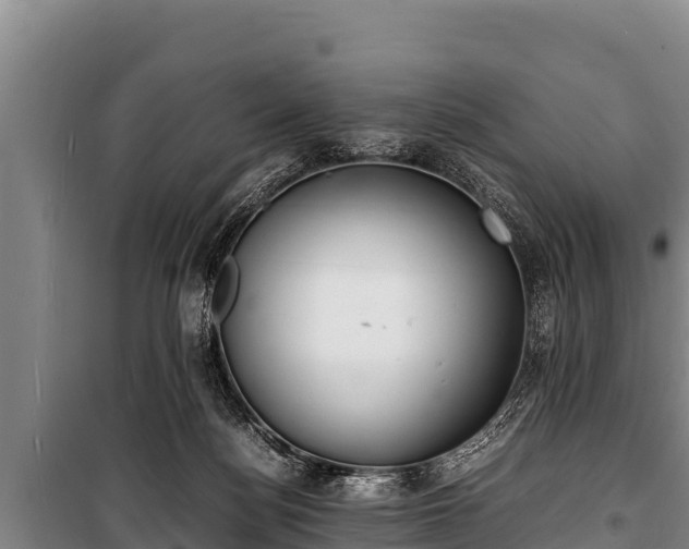 X0000100850172200806271144