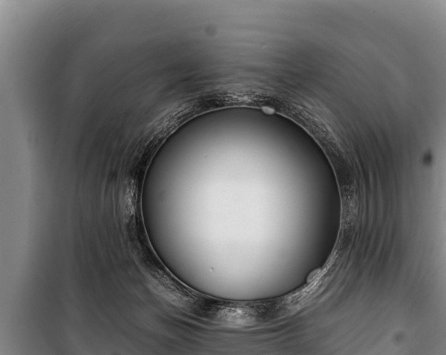 X0000100850174200806271144