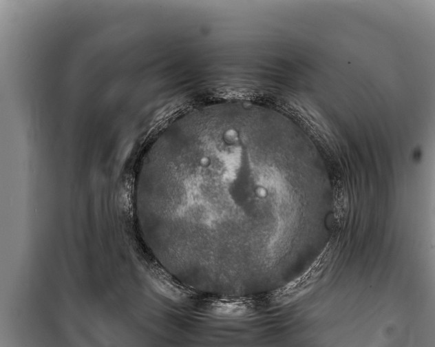 X0000100850175200806271144