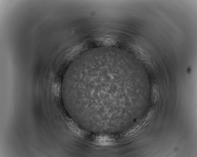 X0000100850177200806271144