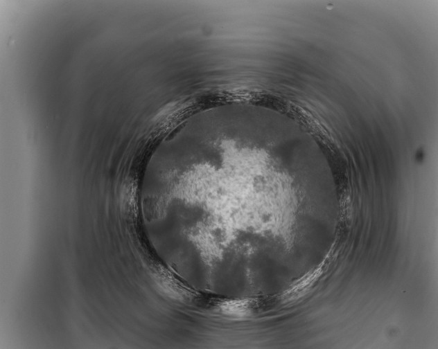 X0000100850178200806271144