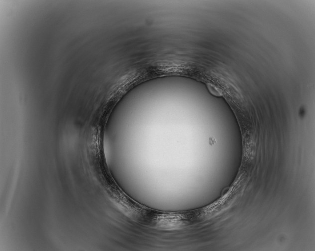 X0000100850179200806271144