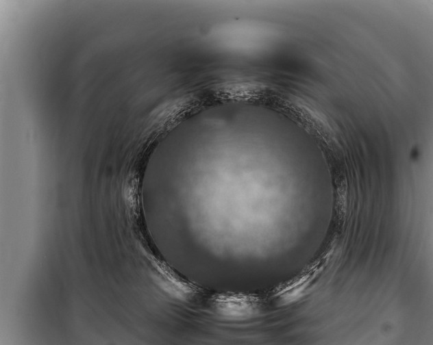 X0000100850181200806271144