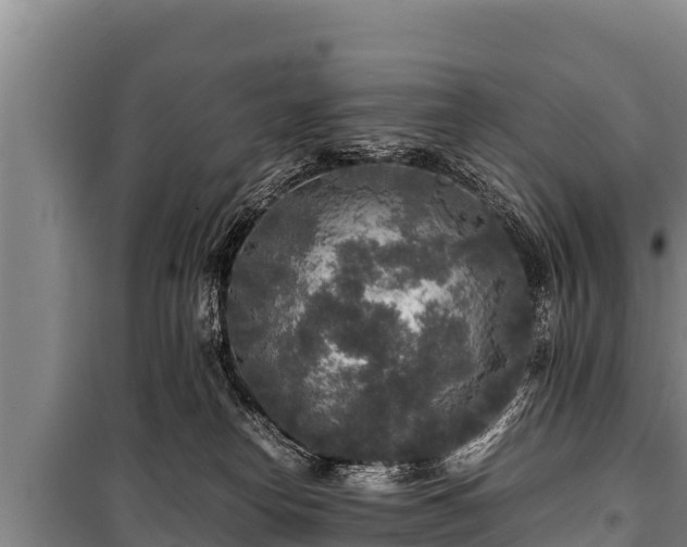 X0000100850182200806271144