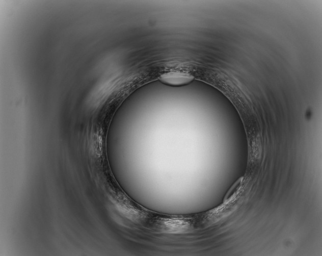 X0000100850183200806271144