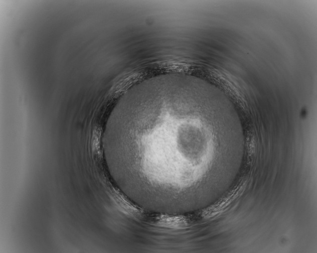 X0000100850185200806271144