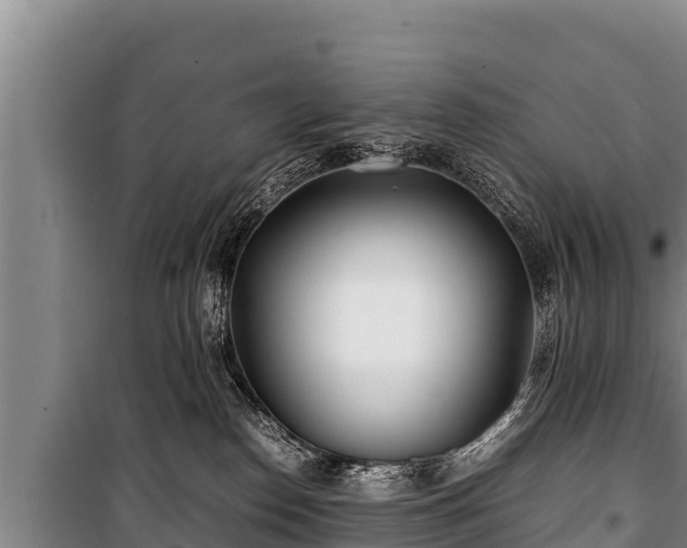 X0000100850186200806271144