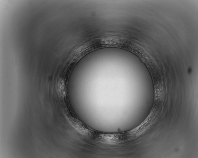 X0000100850187200806271144