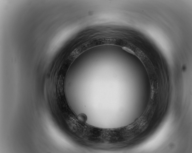 X0000100850190200806271144