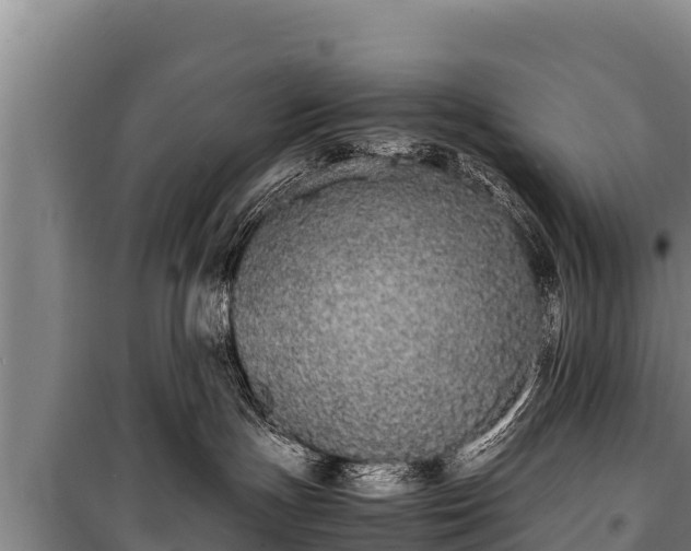 X0000100850191200806271144