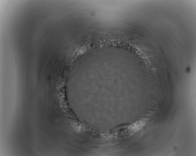 X0000100850192200806271144