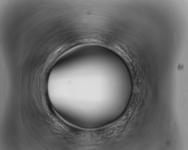 X0000100850193200806271144