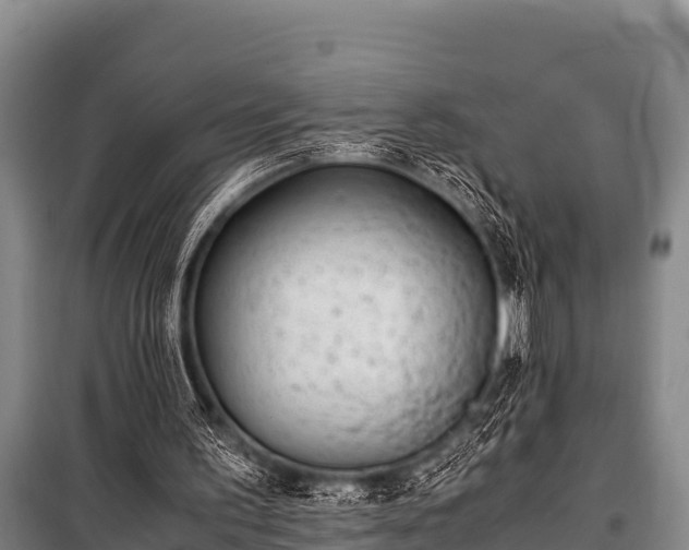 X0000100850195200806271144