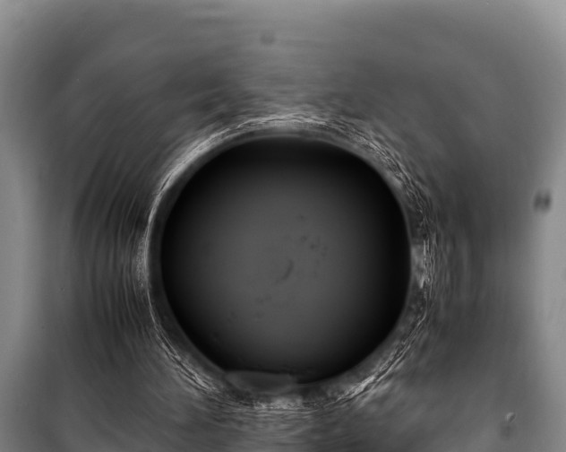 X0000100850196200806271144