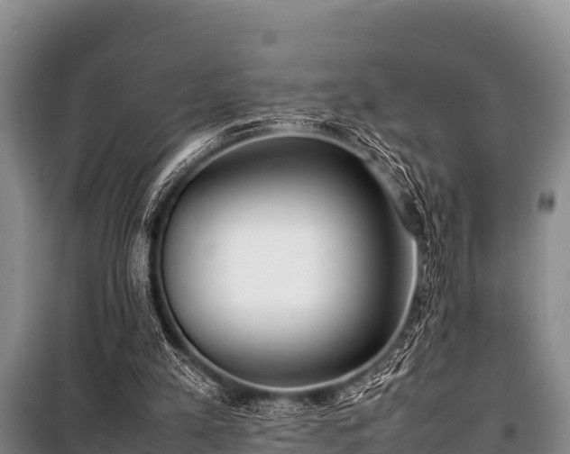 X0000100850197200806271144