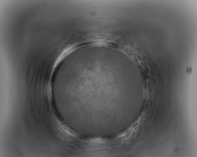 X0000100850198200806271144