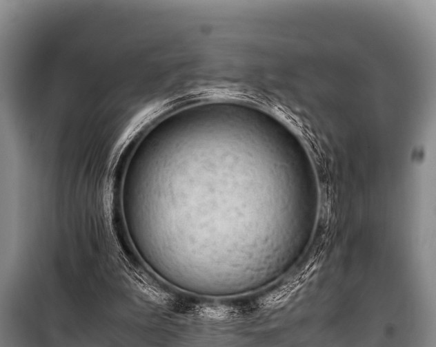 X0000100850199200806271144