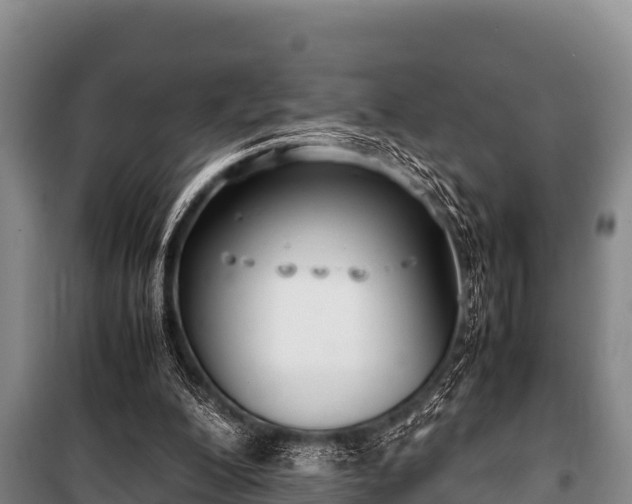 X0000100850200200806271143