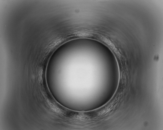 X0000100850201200806271143